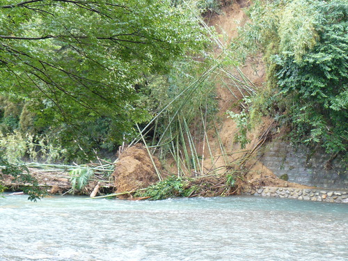 f0004019_2152112.jpg