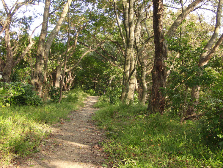 b0042220_13204360.jpg
