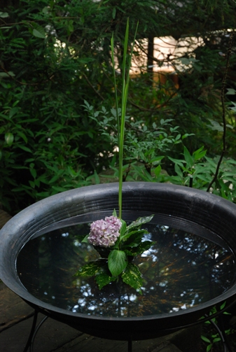 仙仁温泉　岩の湯　宿泊記（館内/後半）_c0060927_15363524.jpg