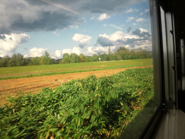 c0102228_16203551.jpg
