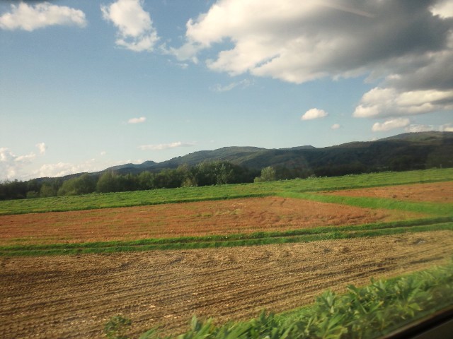 c0102228_16203574.jpg