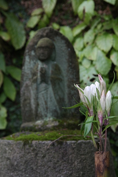 久しぶりに東慶寺に・・・_c0196928_8321697.jpg