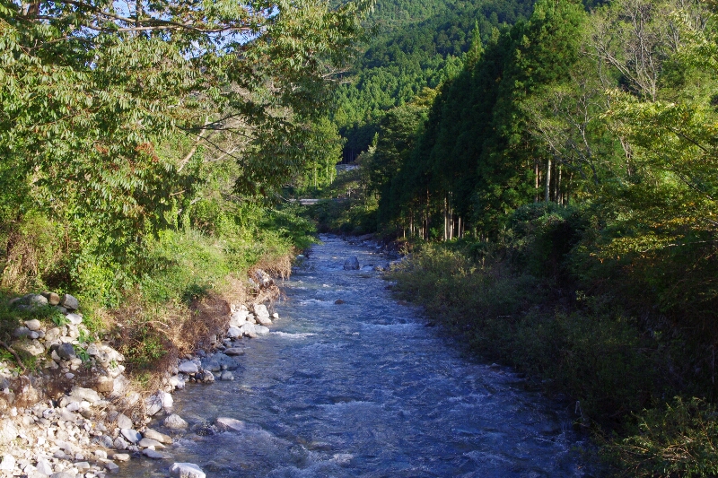 秋の天川村キャンプ(1日目)_c0113733_2234454.jpg