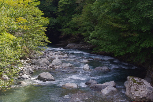 秋の天川村キャンプ(2日目)_c0113733_2314928.jpg