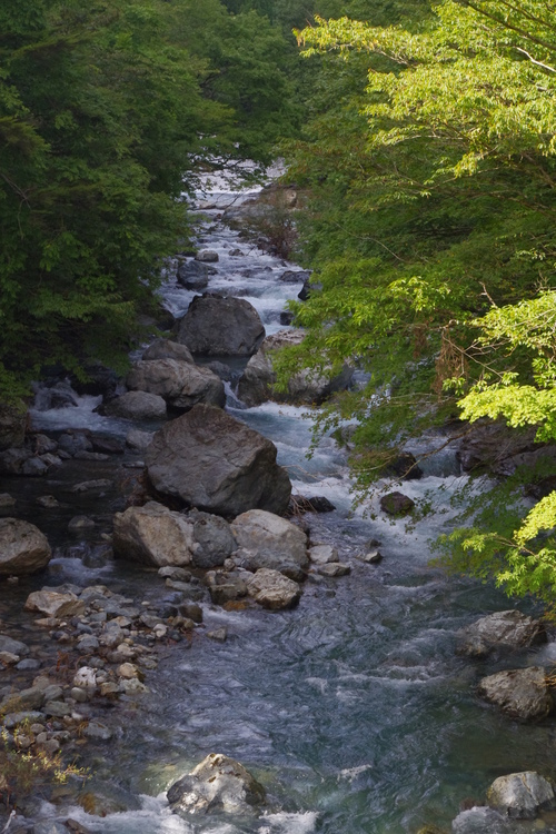 秋の天川村キャンプ(2日目)_c0113733_2321853.jpg