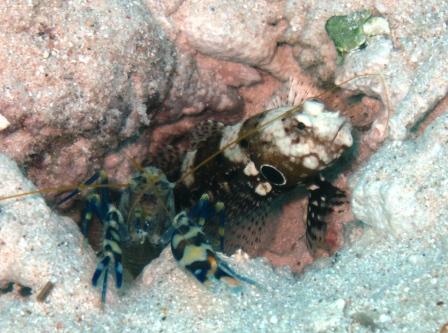 PERFECT DIVE!!!_a0189838_135320.jpg