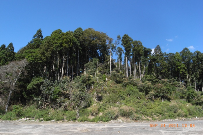 東北地方太平洋沖地震、皮膚感覚編。其の四。～災害ボランティアで、改めて思う。_c0022340_183077.jpg