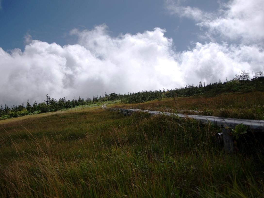 d0237340_10561883.jpg