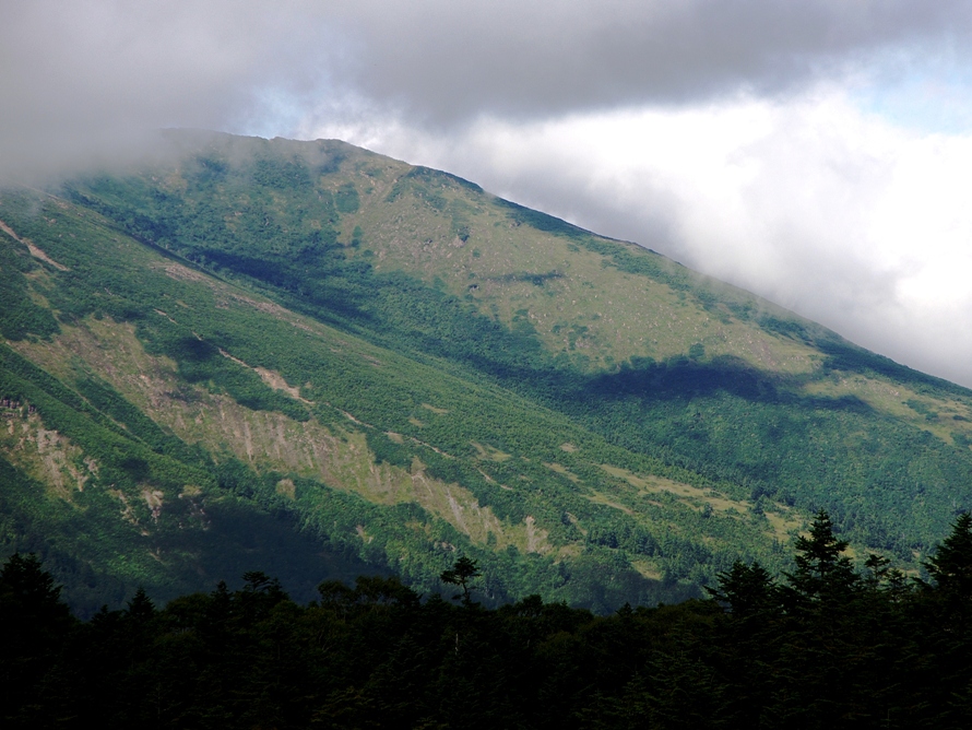 d0237340_111457.jpg