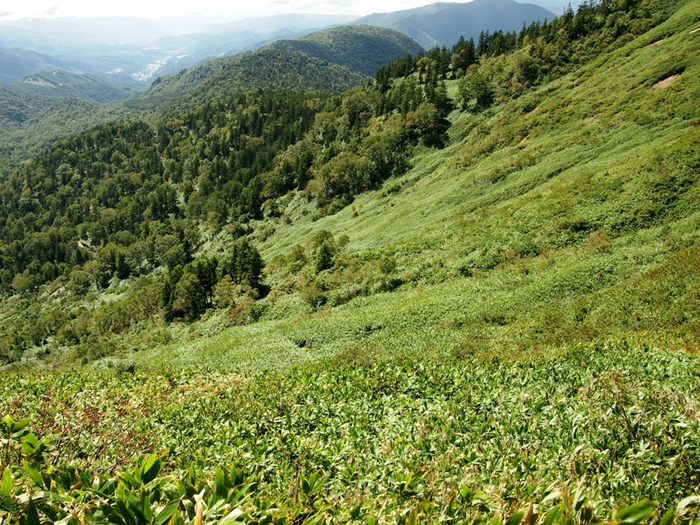d0237340_1142089.jpg