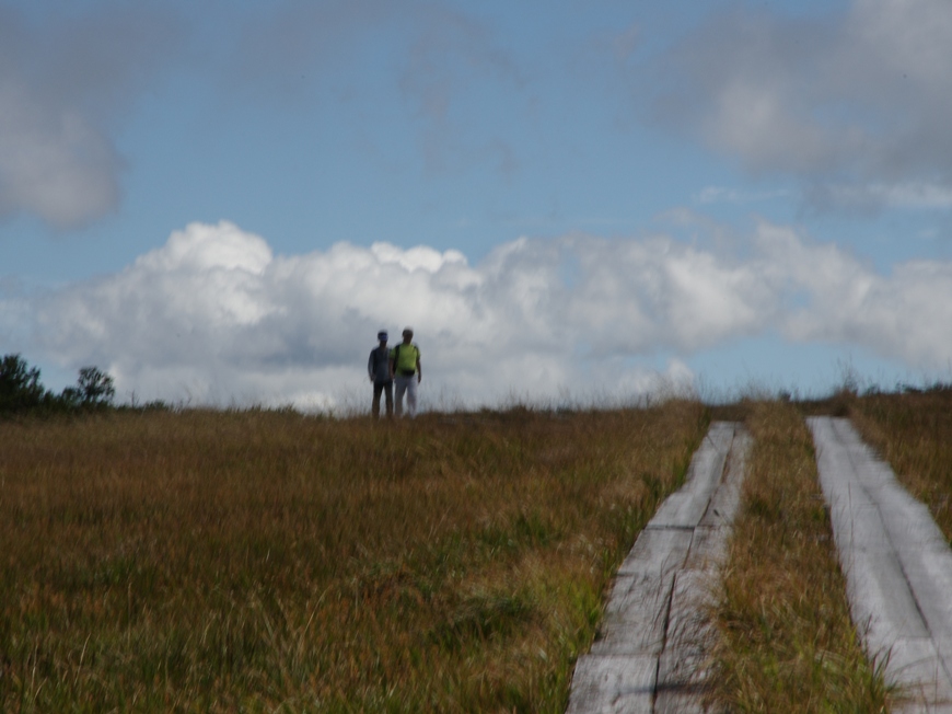 d0237340_12273579.jpg