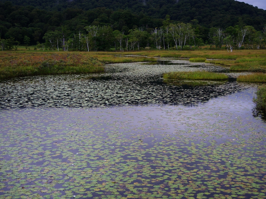 d0237340_12322966.jpg