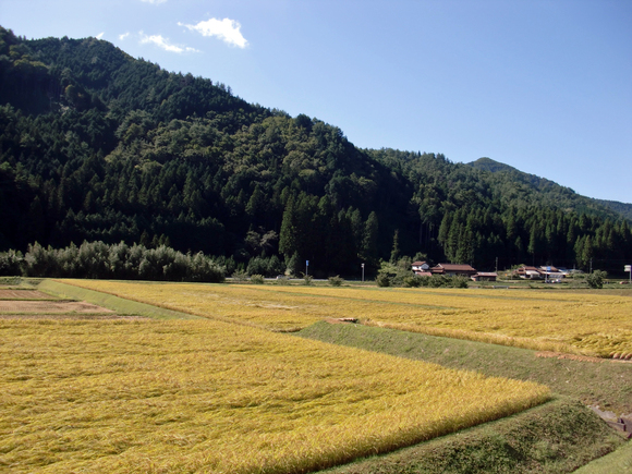 e0110940_9303942.jpg