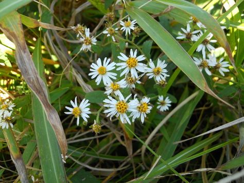 a0206345_64222.jpg