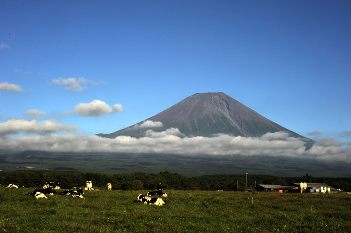 b0067346_11907.jpg