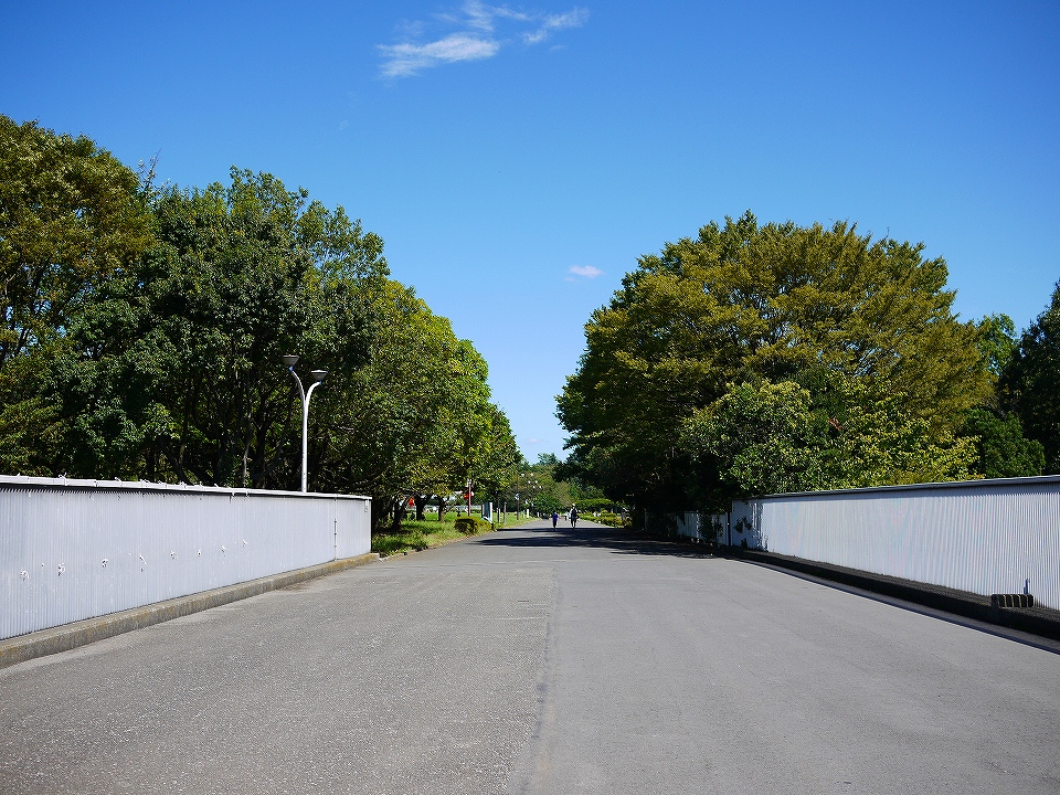c0164652_939539.jpg