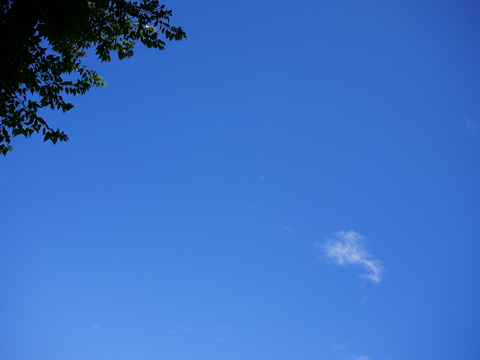 c0164652_943321.jpg