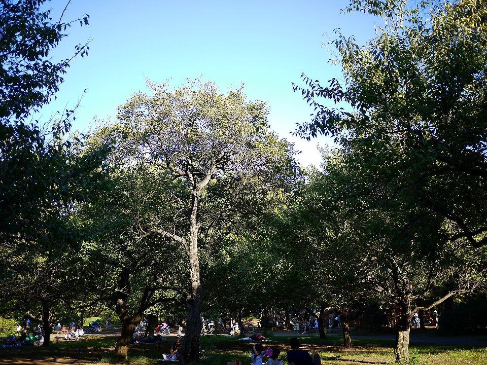 c0164652_9453232.jpg