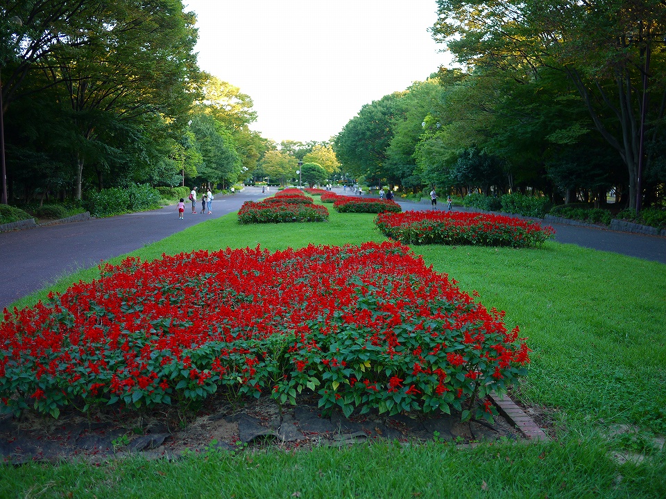 c0164652_9512657.jpg
