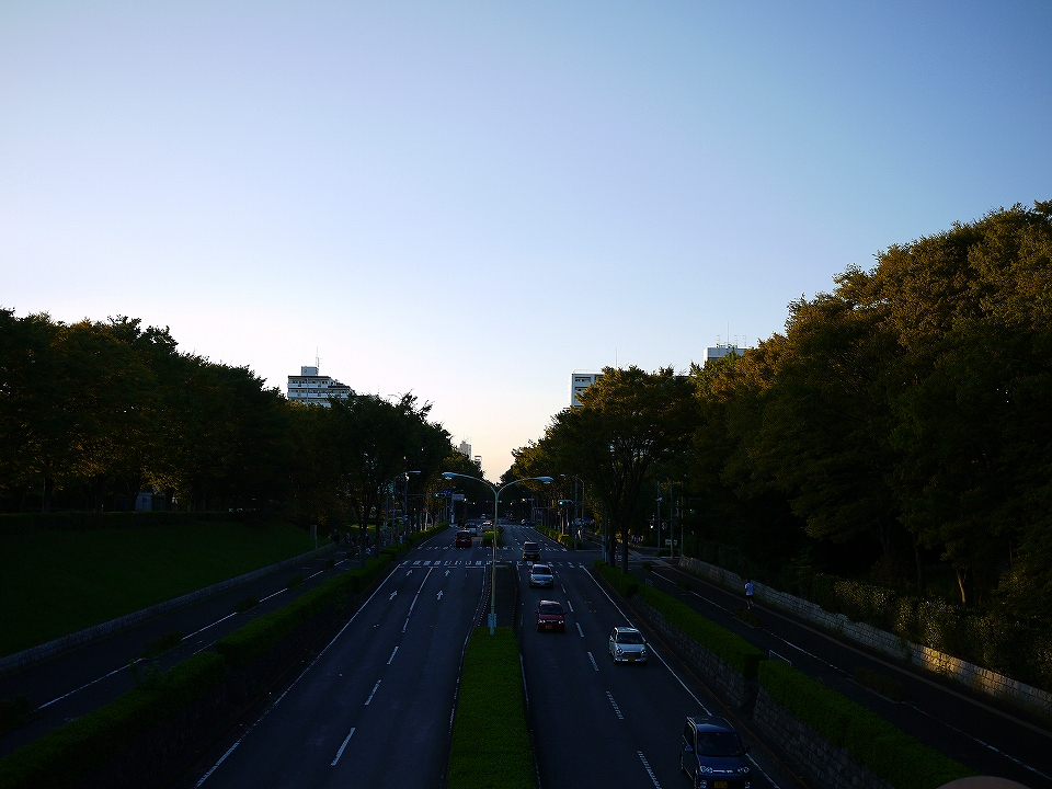 c0164652_9552979.jpg