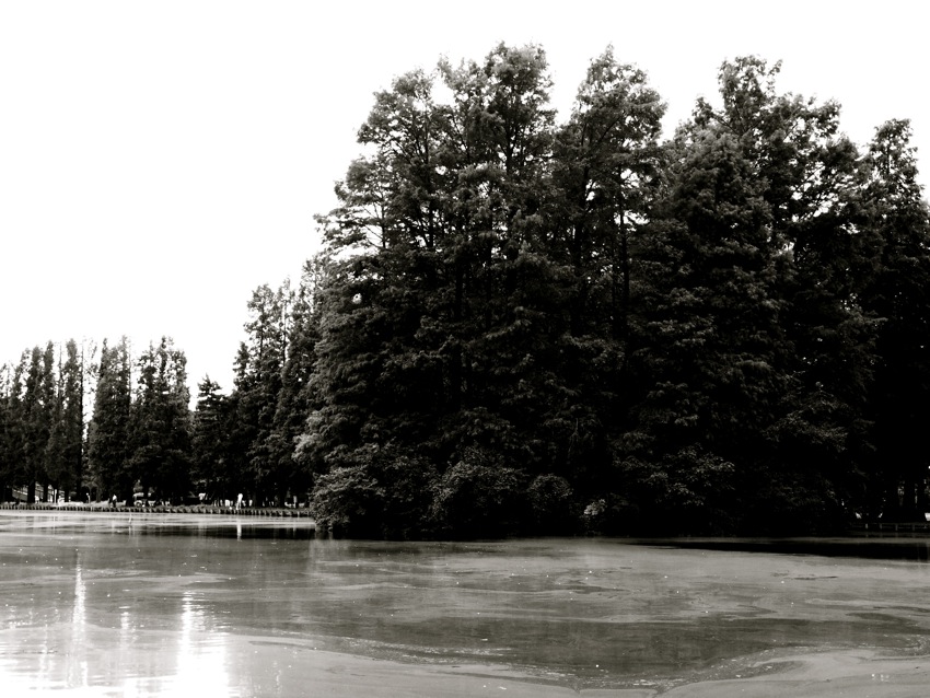 f0179061_21324032.jpg