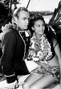 TUKI Brando(Marlon Brando\'s grandson)_f0134963_1648291.jpg