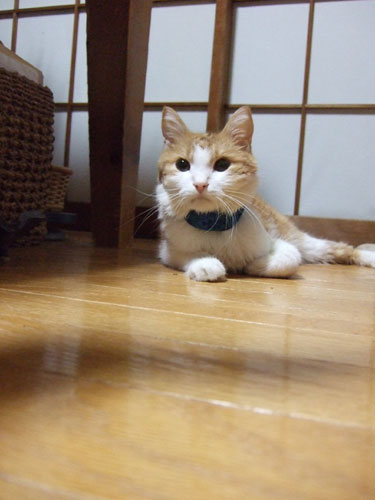 a0064067_23395111.jpg
