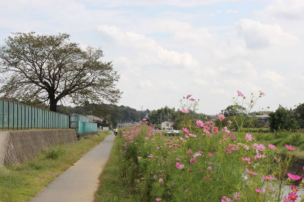 c0007169_1329949.jpg
