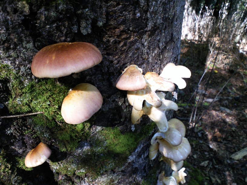 f0117673_21503829.jpg