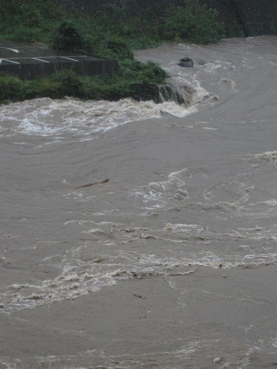 宮崎ケンポク紀行~日之影、台風_b0019674_0431128.jpg