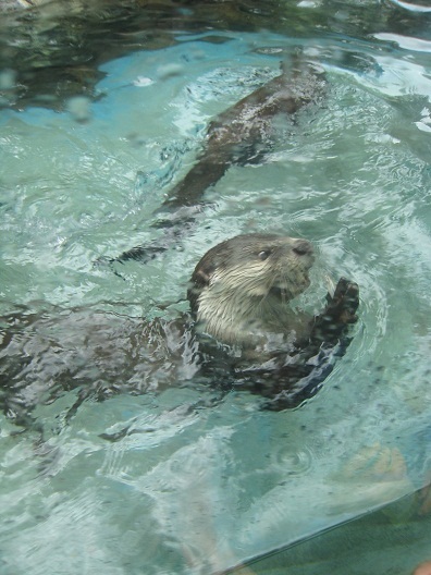 のいち動物公園_d0069077_2203373.jpg