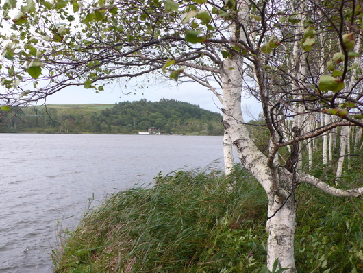 c0197979_21491065.jpg