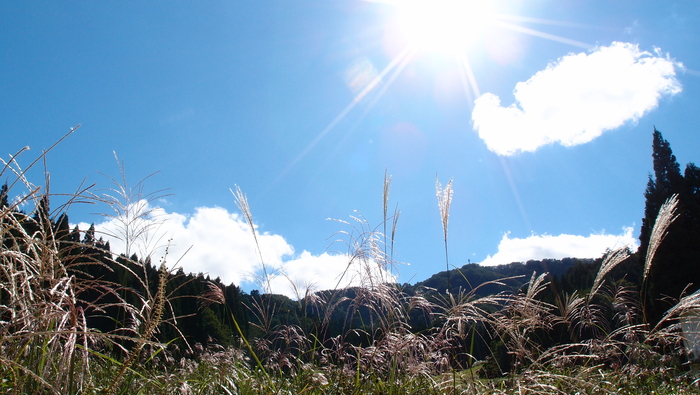 e0024081_1064737.jpg