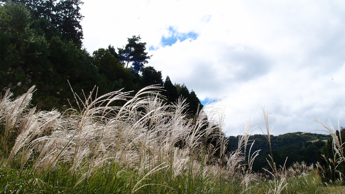 e0024081_15134653.jpg