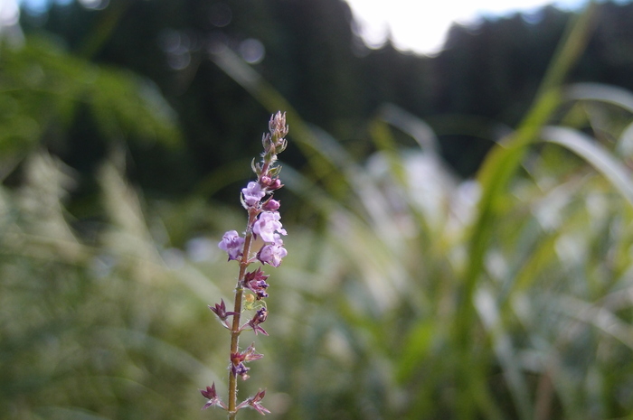 e0024081_15155187.jpg