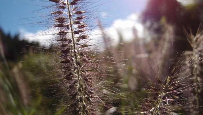 e0024081_15233066.jpg