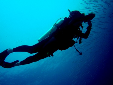 暖かい海でカラフルな魚と!_f0144385_2013060.jpg