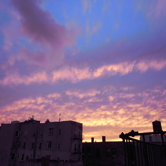 d0204189_1061157.jpg