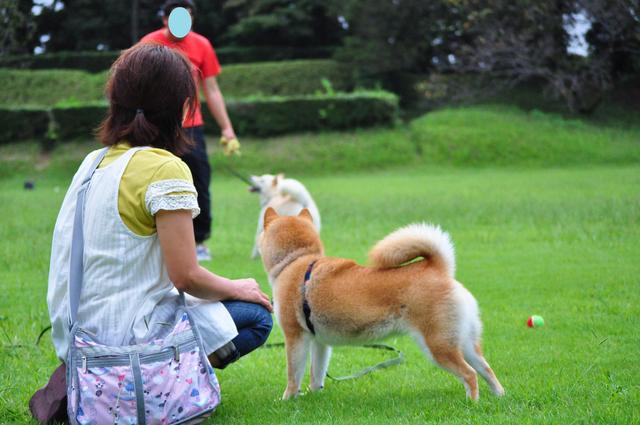 こてつ君のワザ_a0126590_12505354.jpg