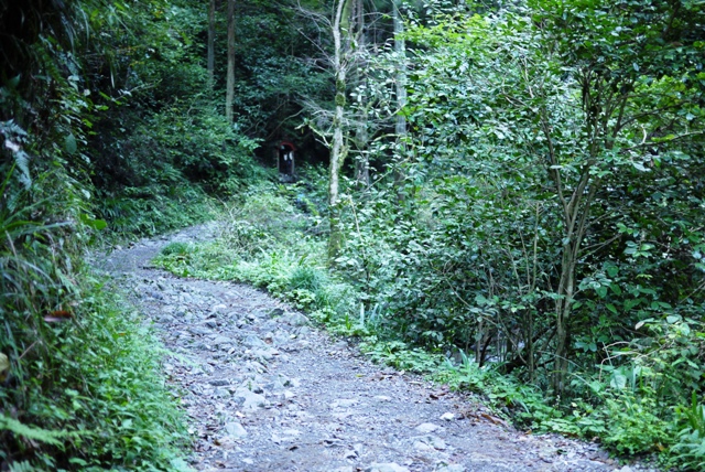a0127090_1035991.jpg