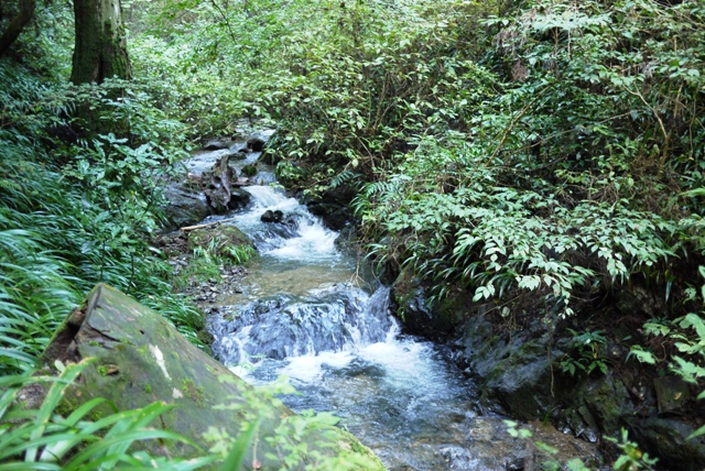 a0127090_11212312.jpg