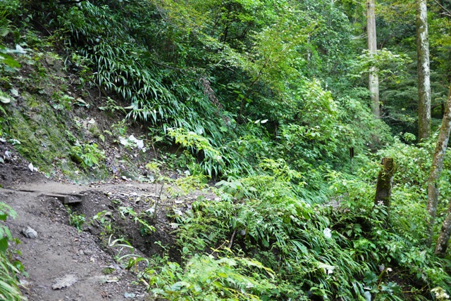 a0127090_11241891.jpg