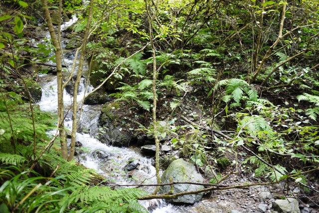 a0127090_11262211.jpg