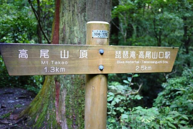 a0127090_11283066.jpg
