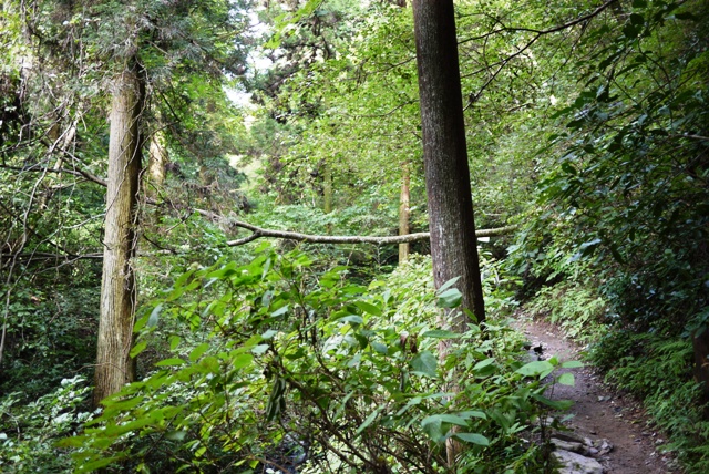a0127090_12352577.jpg