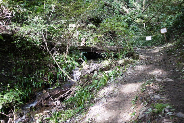 a0127090_12405348.jpg