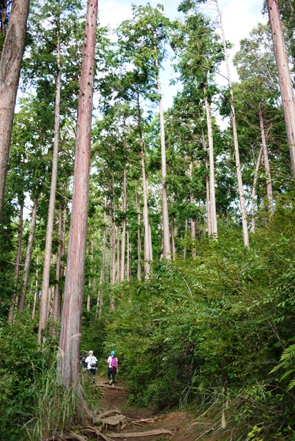 a0127090_12482896.jpg