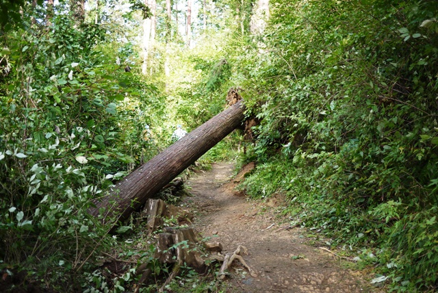 a0127090_12504810.jpg