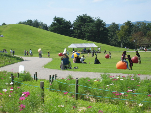 讃岐まんのう公園_d0043390_20314570.jpg