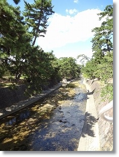 e0206490_035797.jpg